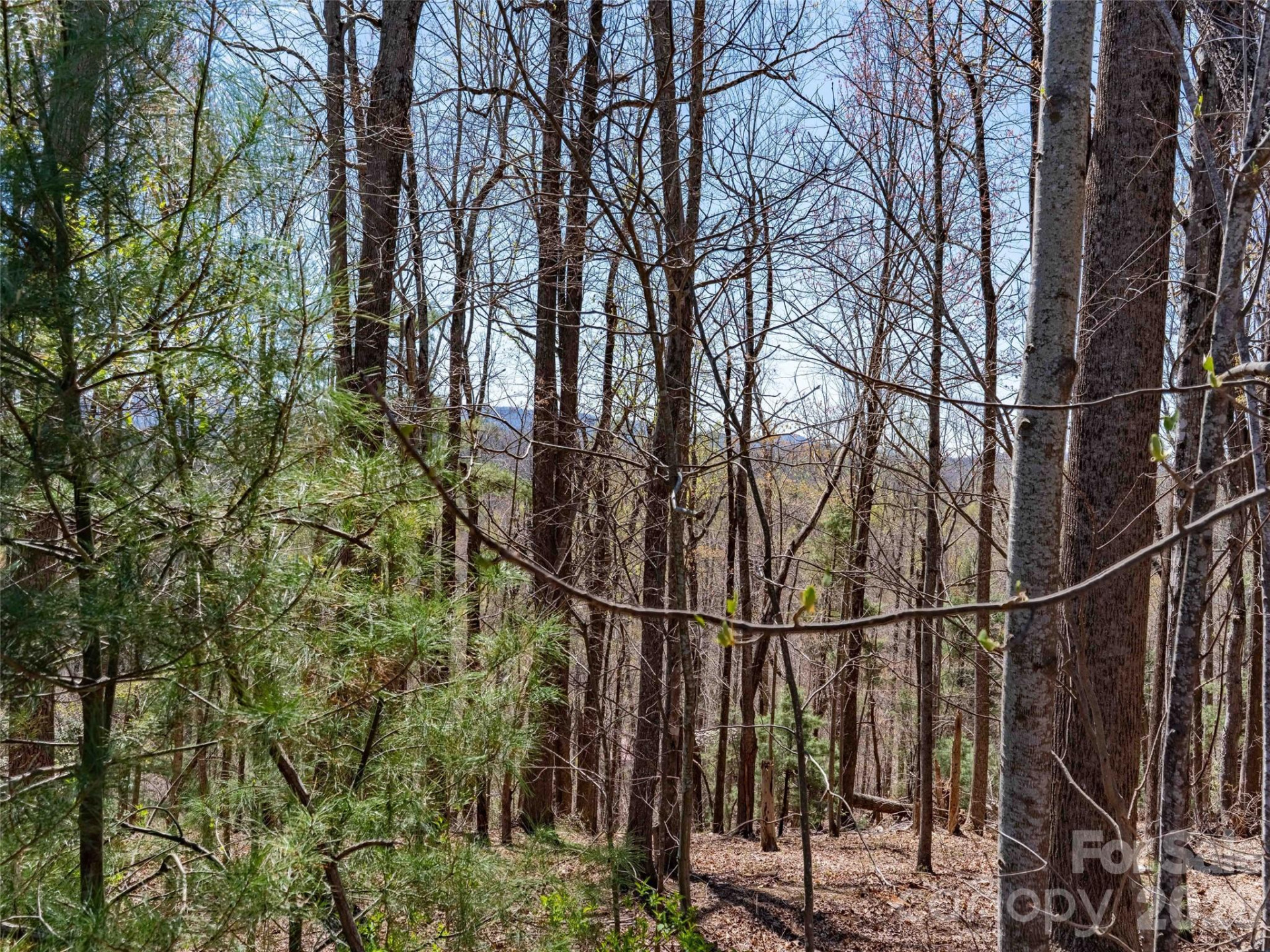 000 Glen Echo Circle - Photo 3