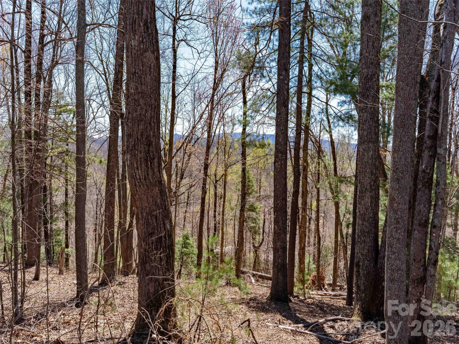 000 Glen Echo Circle - Photo 4