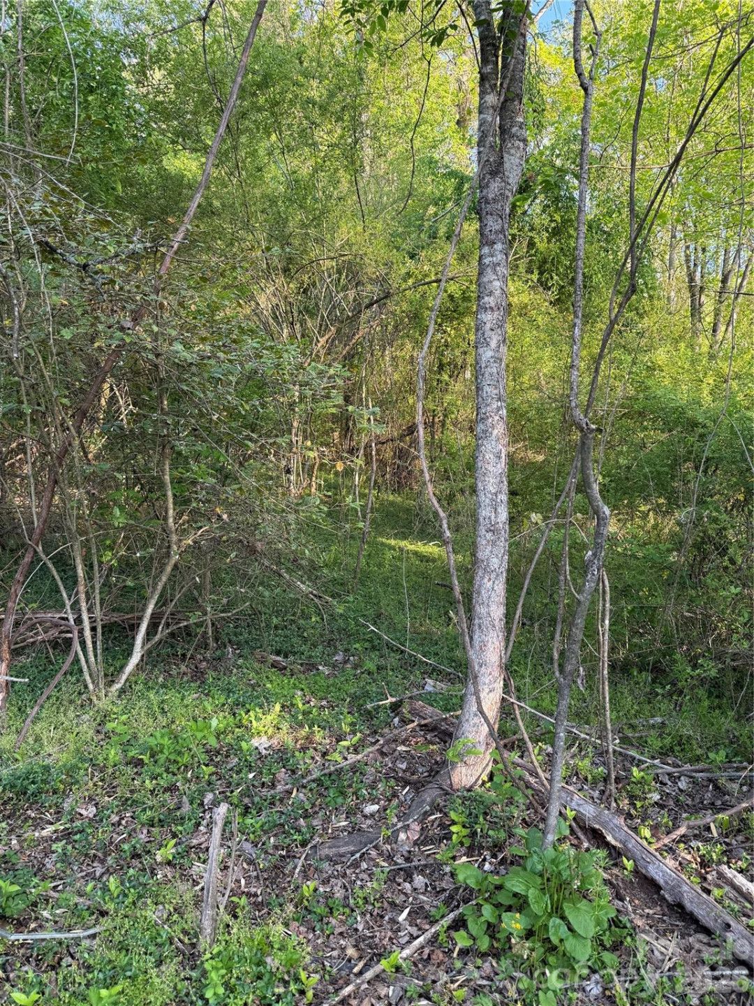 00 Cashiers Valley Road #Tract 2 - Photo 2