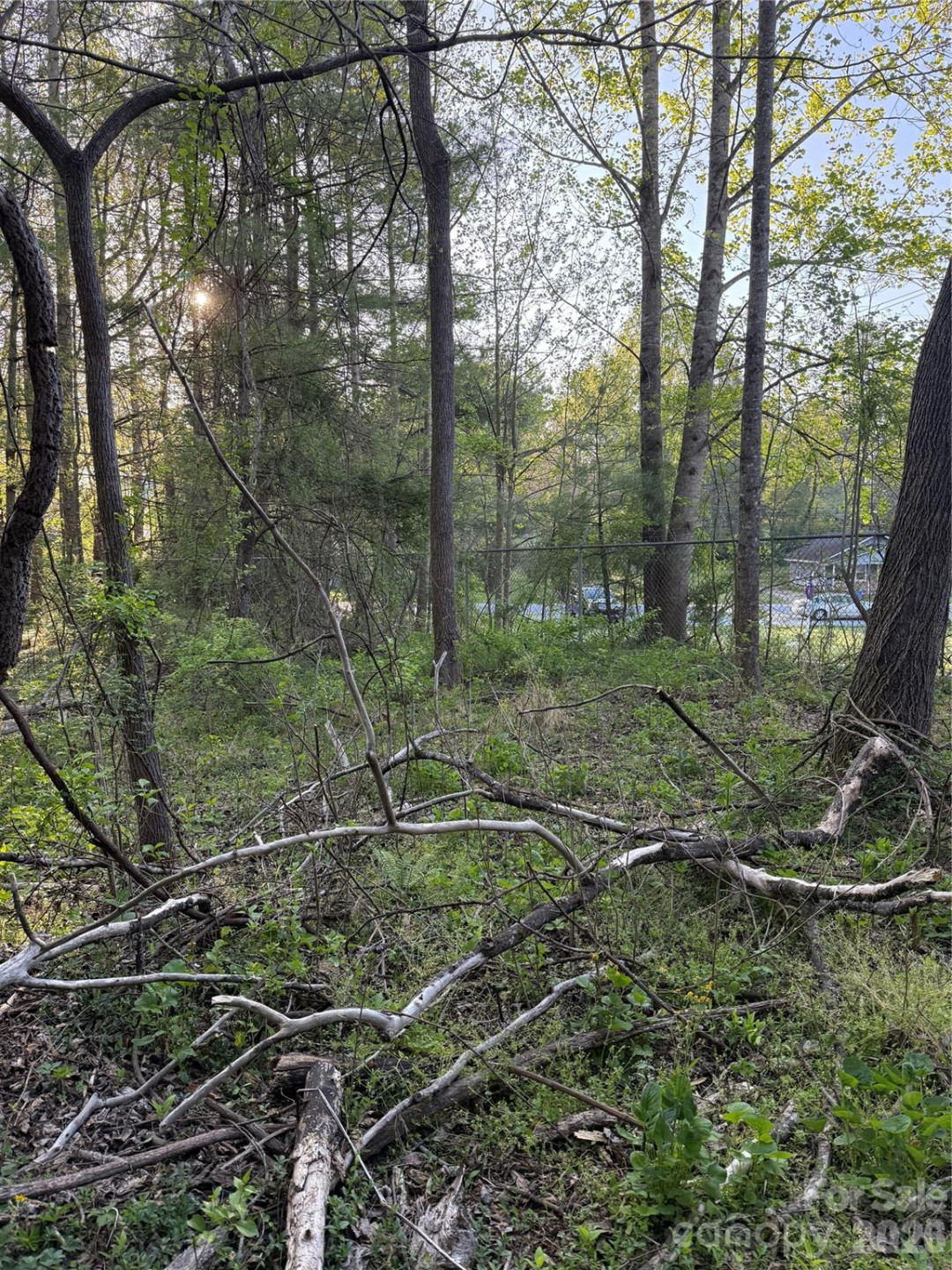 00 Cashiers Valley Road #Tract 2 - Photo 3