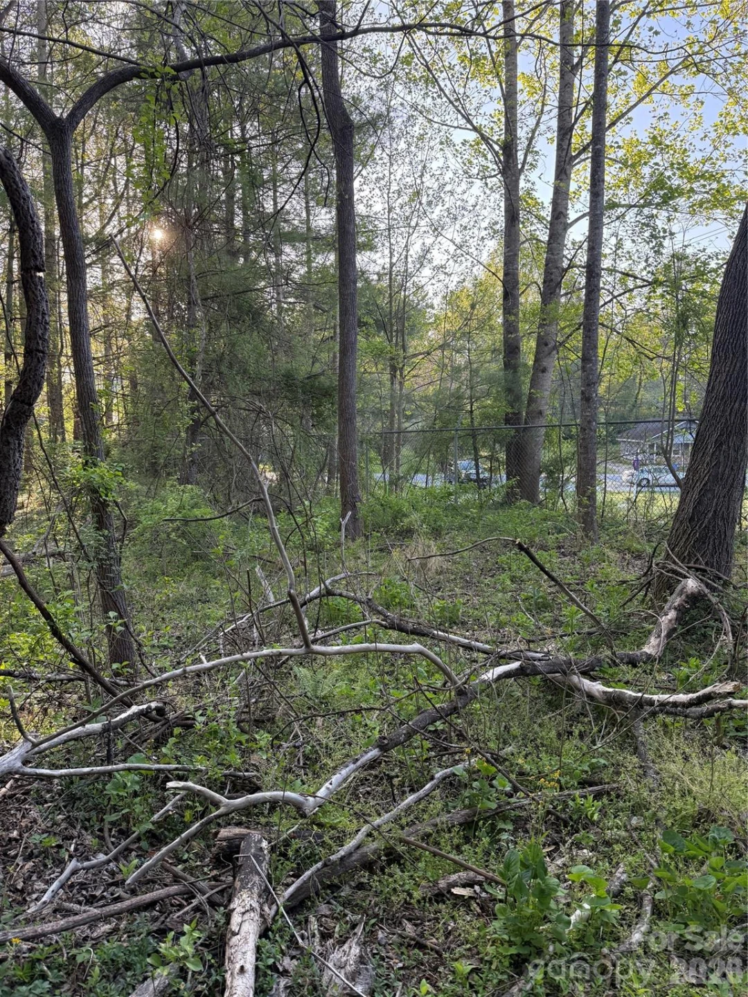 00 Cashiers Valley Road #Tract 2 - Photo 3