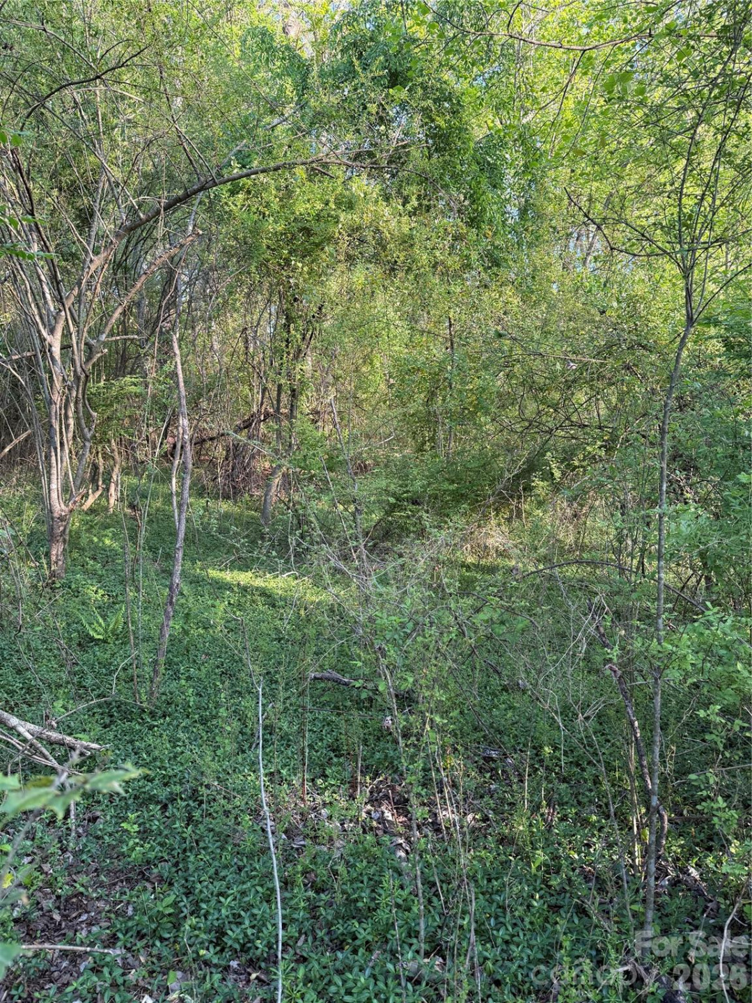 00 Cashiers Valley Road #Tract 2 - Photo 4