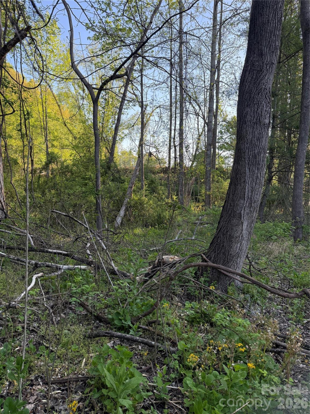 00 Cashiers Valley Road #Tract 2 - Photo 5