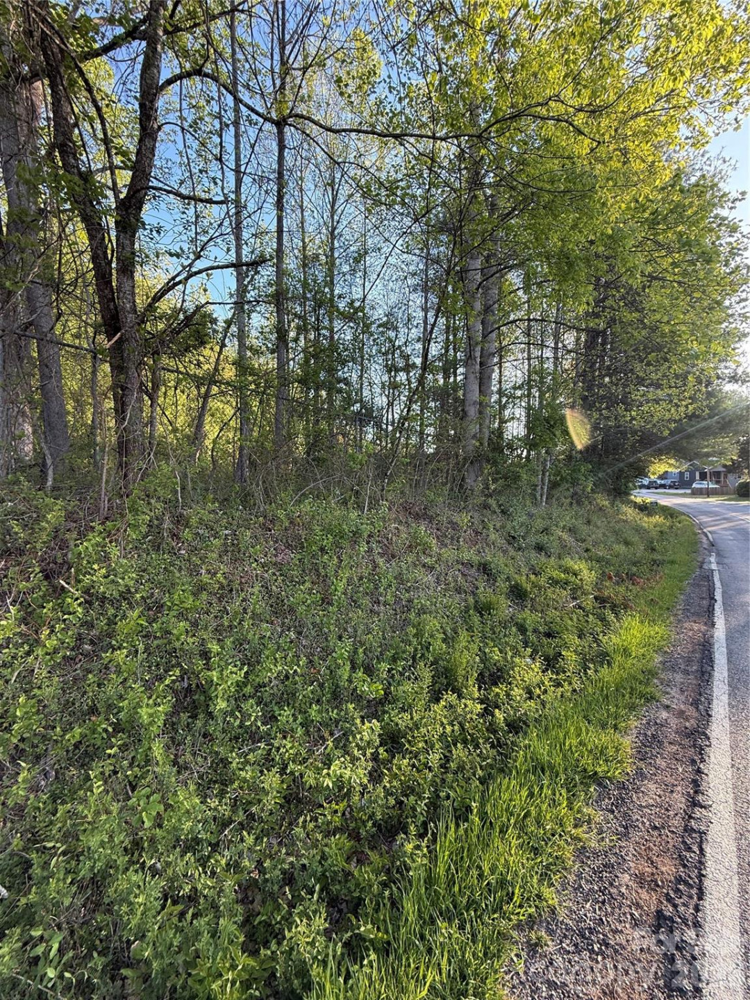 00 Cashiers Valley Road #Tract 2 - Photo 6