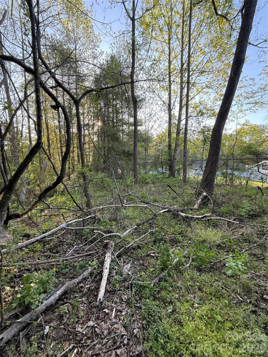 00 Cashiers Valley Road #Tract 2 - Photo 7