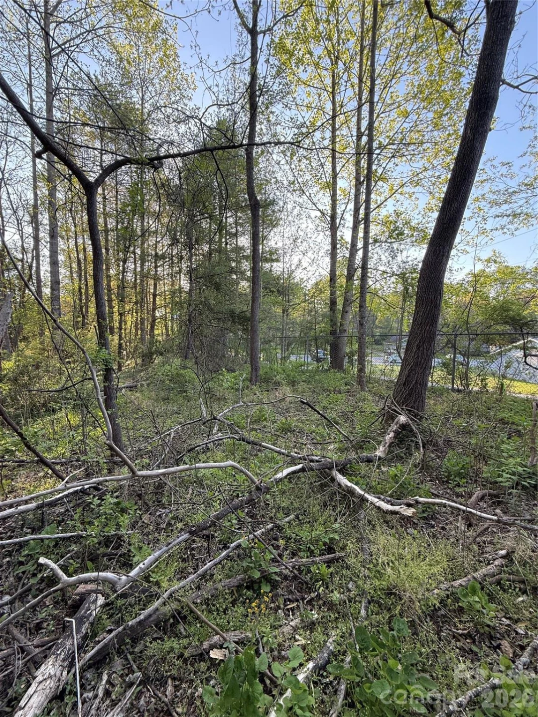 00 Cashiers Valley Road #Tract 2 - Photo 8