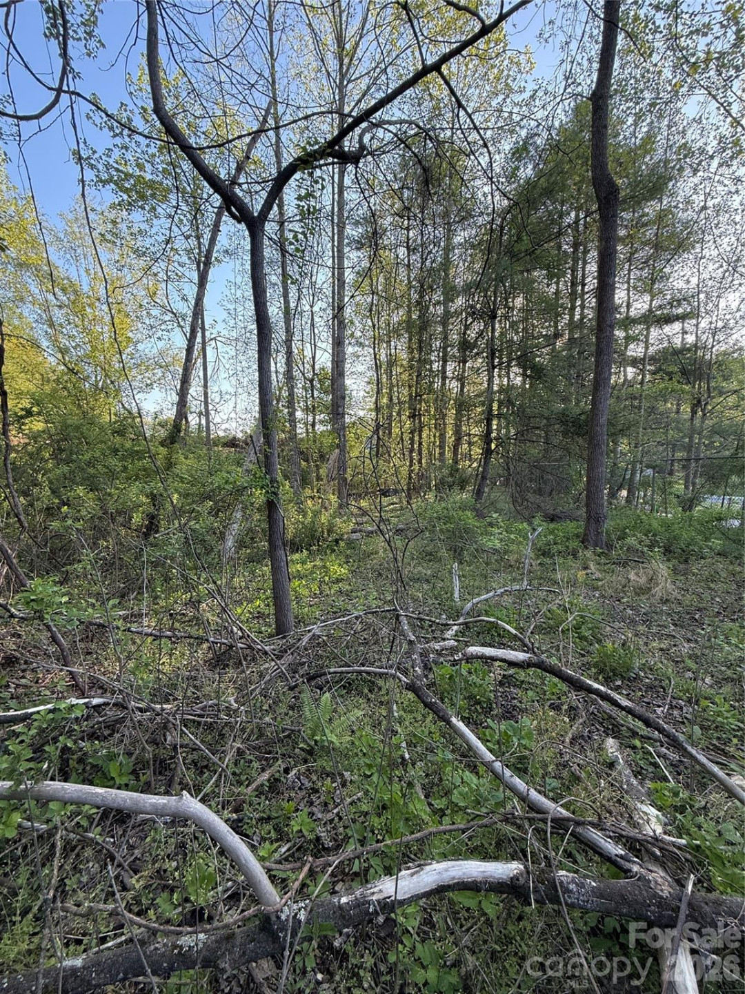 00 Cashiers Valley Road #Tract 2 - Photo 9