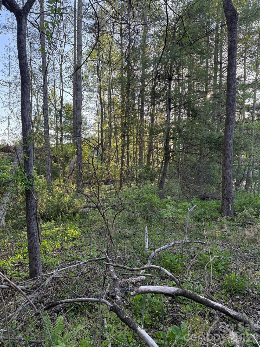 00 Cashiers Valley Road #Tract 2 - Photo 10