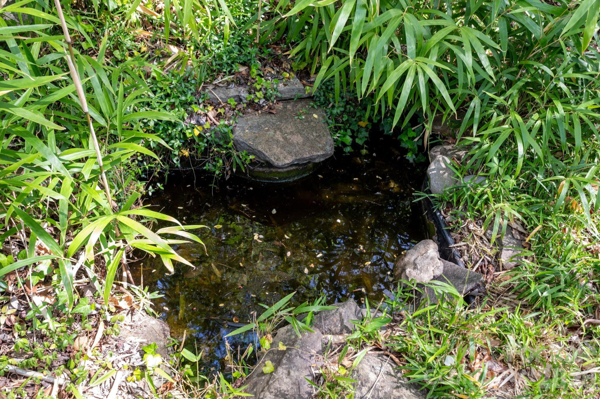 190 Shope Creek Road - Photo 23