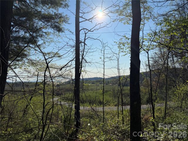 000 Woodlyn Etch Drive, Hendersonville, NC, 28792