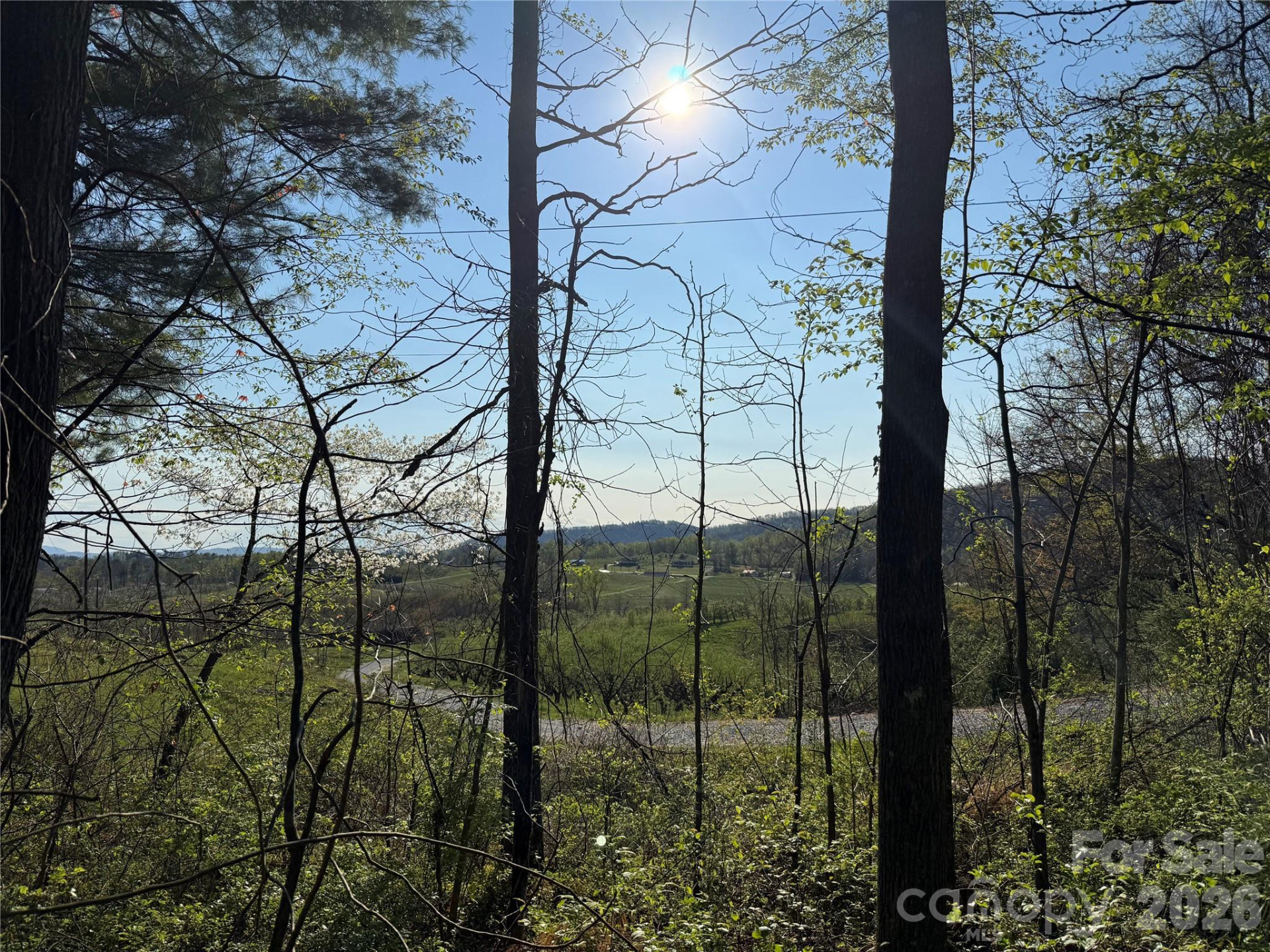 000 Woodlyn Etch Drive