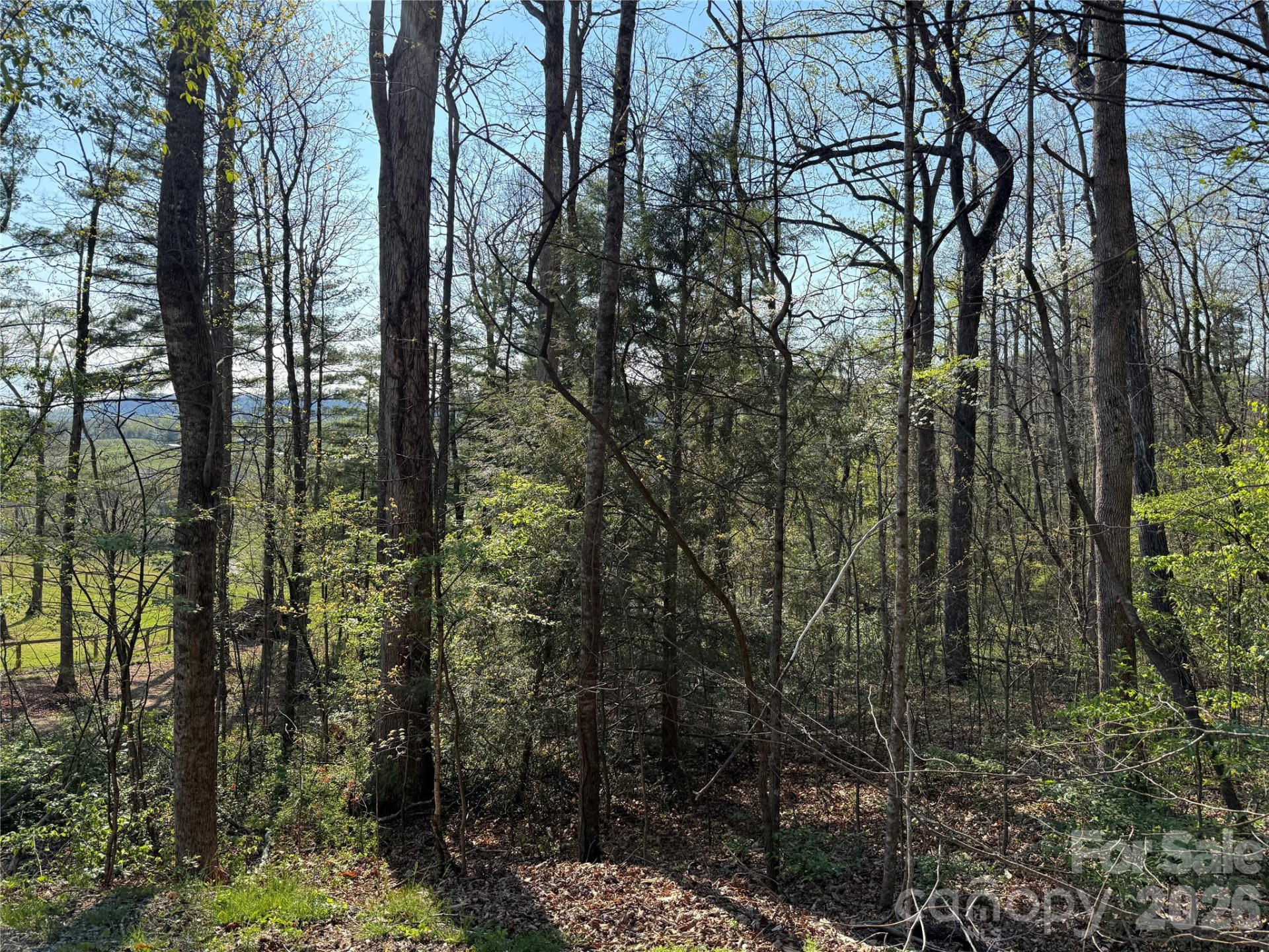 000 Woodlyn Etch Drive - Photo 11