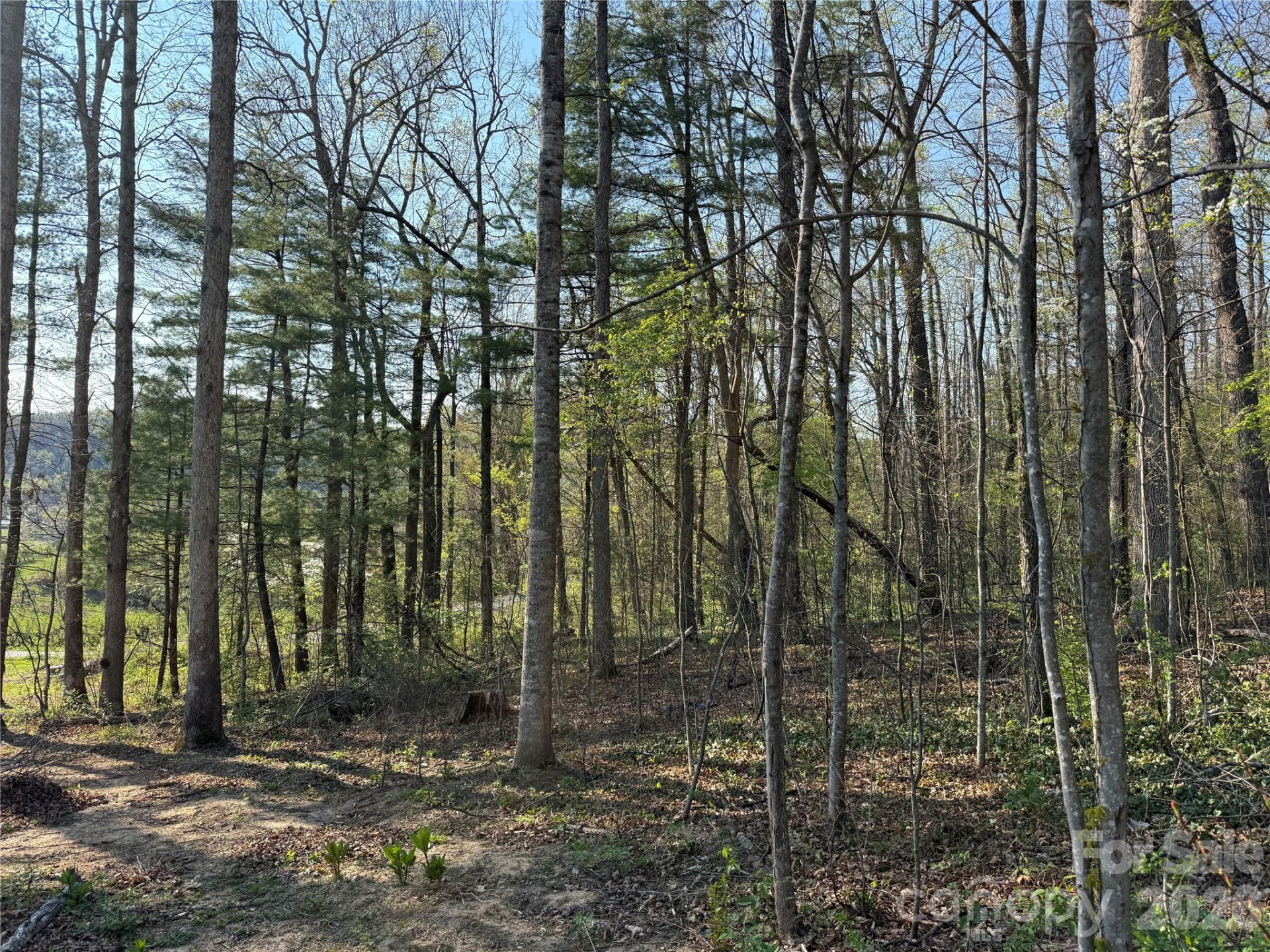 000 Woodlyn Etch Drive - Photo 12