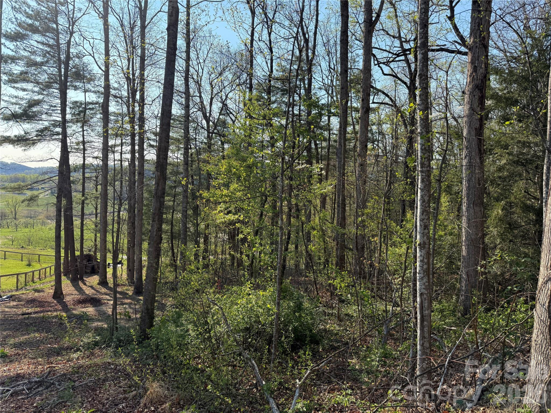 000 Woodlyn Etch Drive - Photo 13