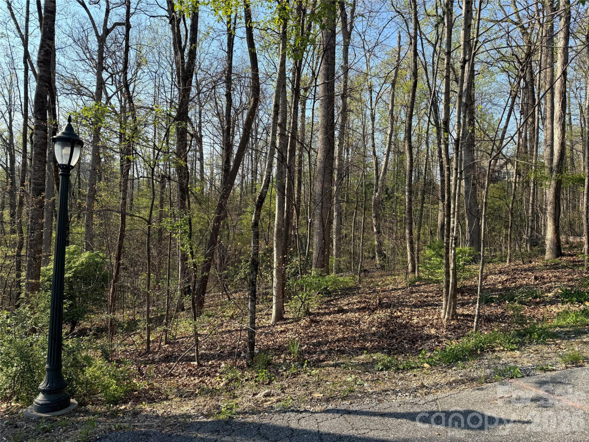 000 Woodlyn Etch Drive - Photo 14