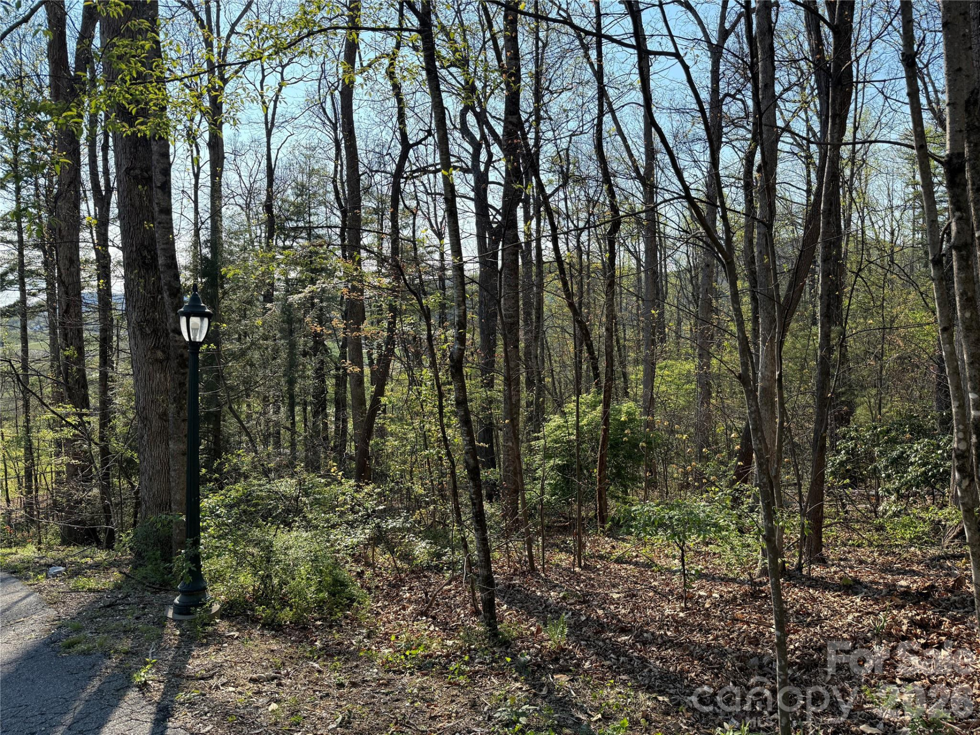 000 Woodlyn Etch Drive - Photo 15