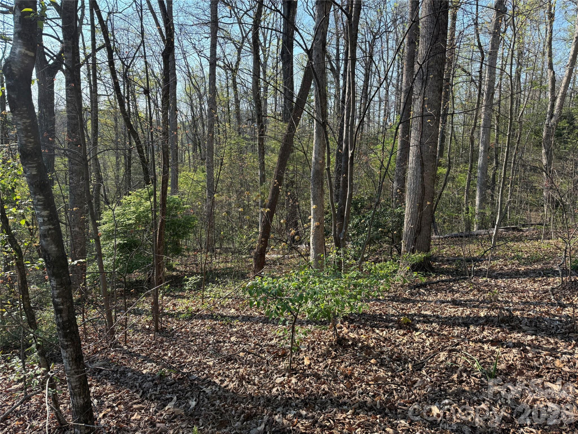 000 Woodlyn Etch Drive - Photo 3