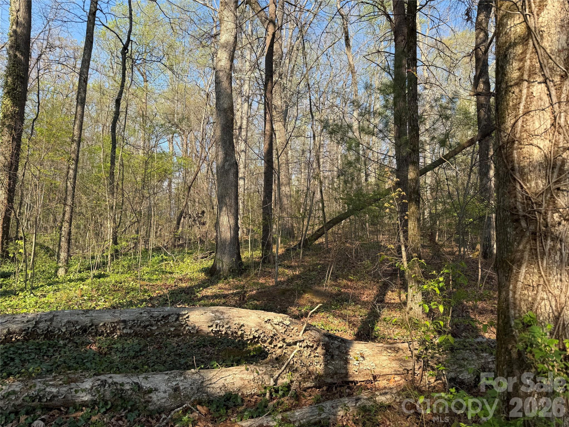 000 Woodlyn Etch Drive - Photo 4