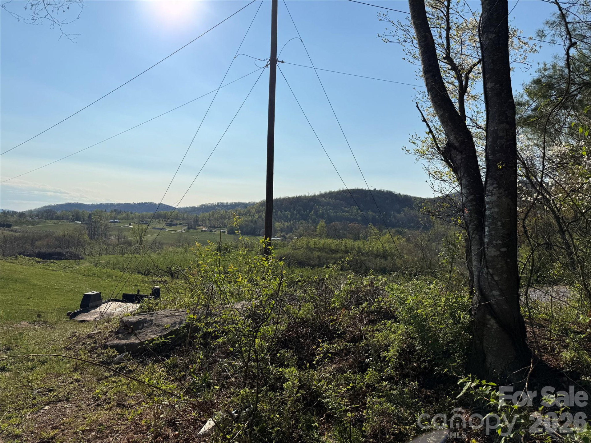 000 Woodlyn Etch Drive - Photo 5