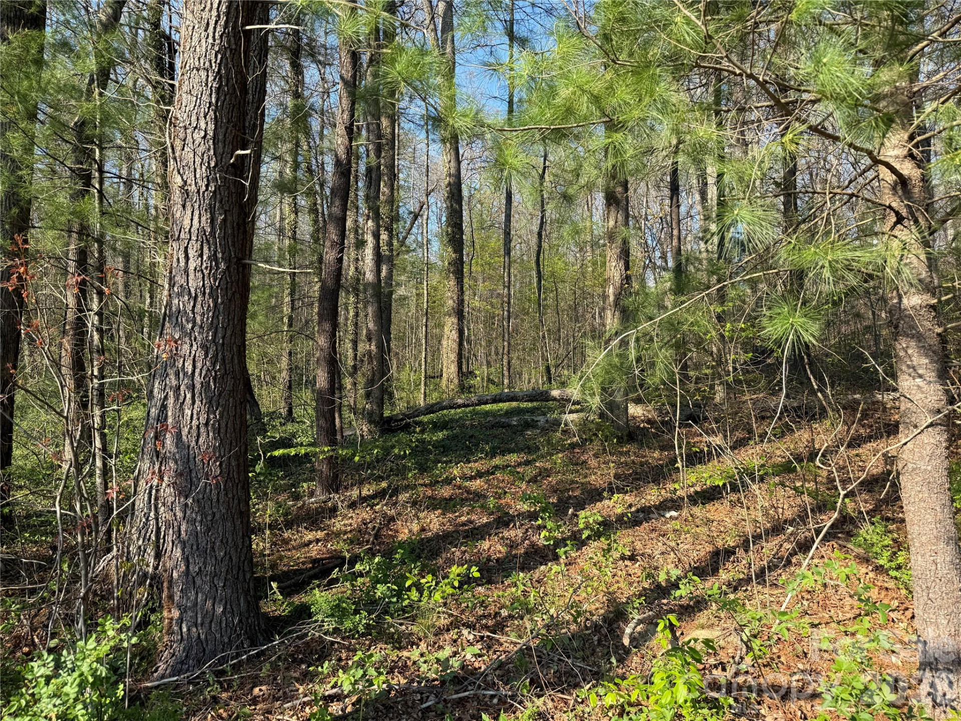 000 Woodlyn Etch Drive - Photo 6