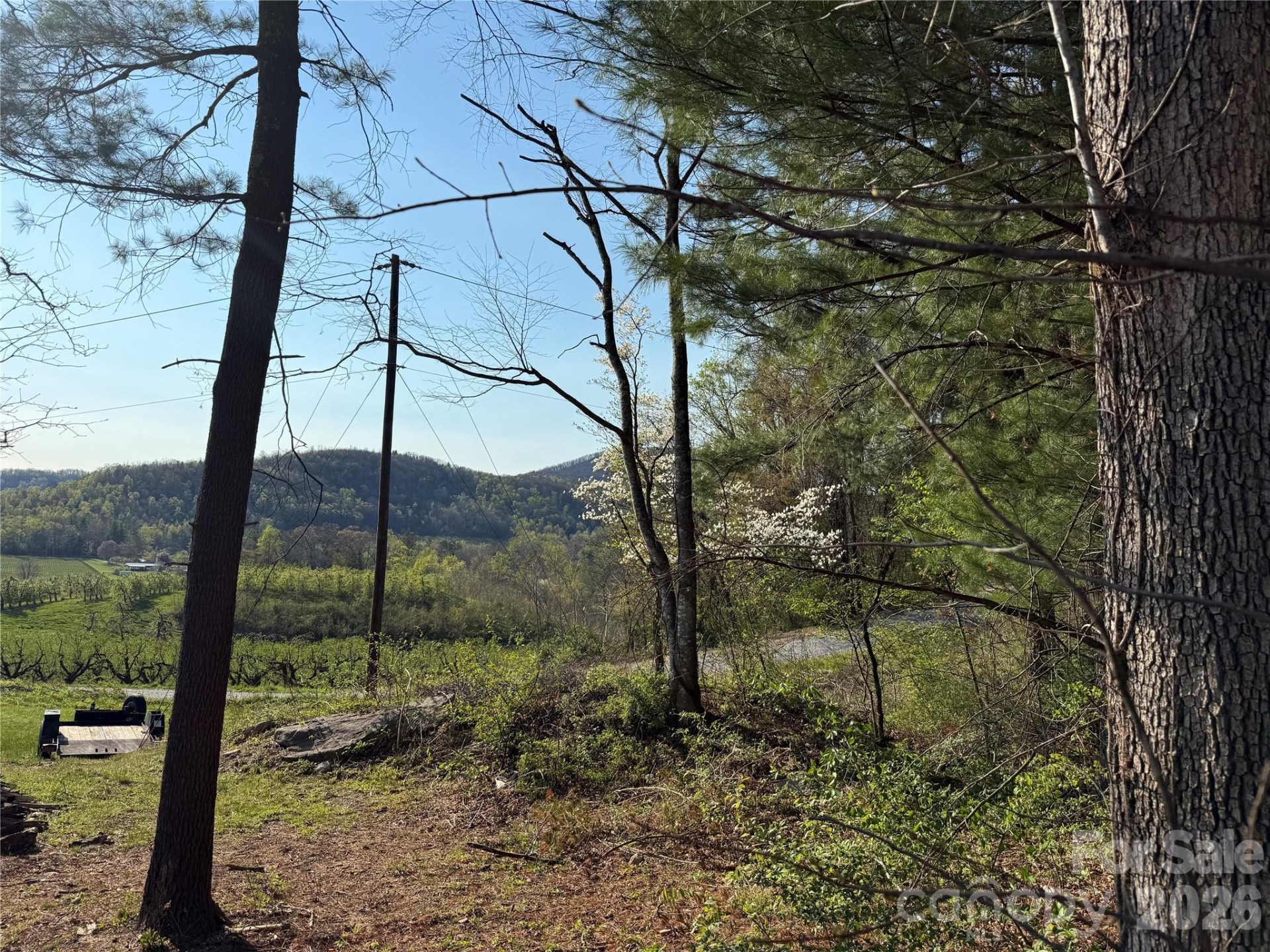 000 Woodlyn Etch Drive - Photo 7