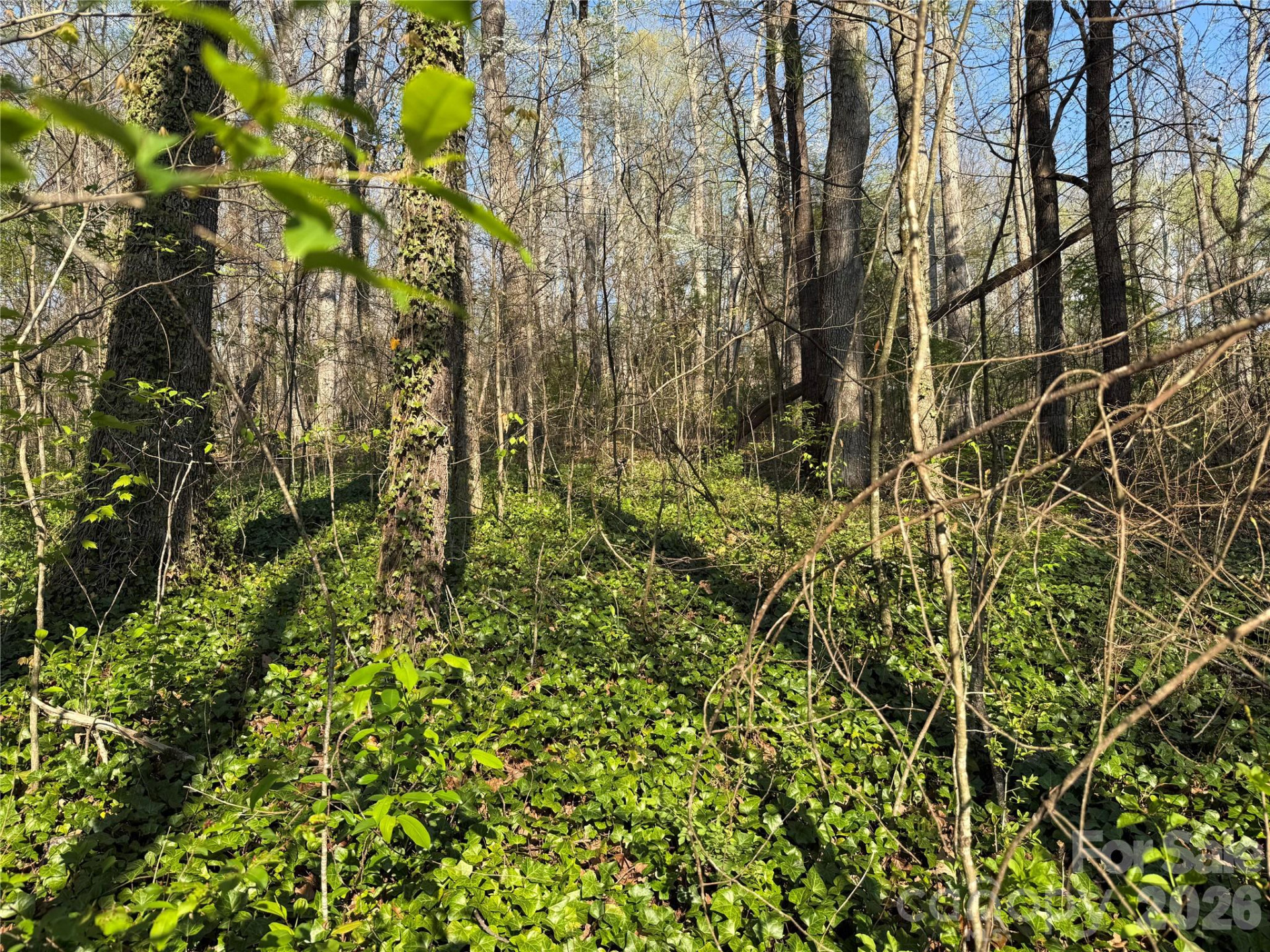 000 Woodlyn Etch Drive - Photo 8