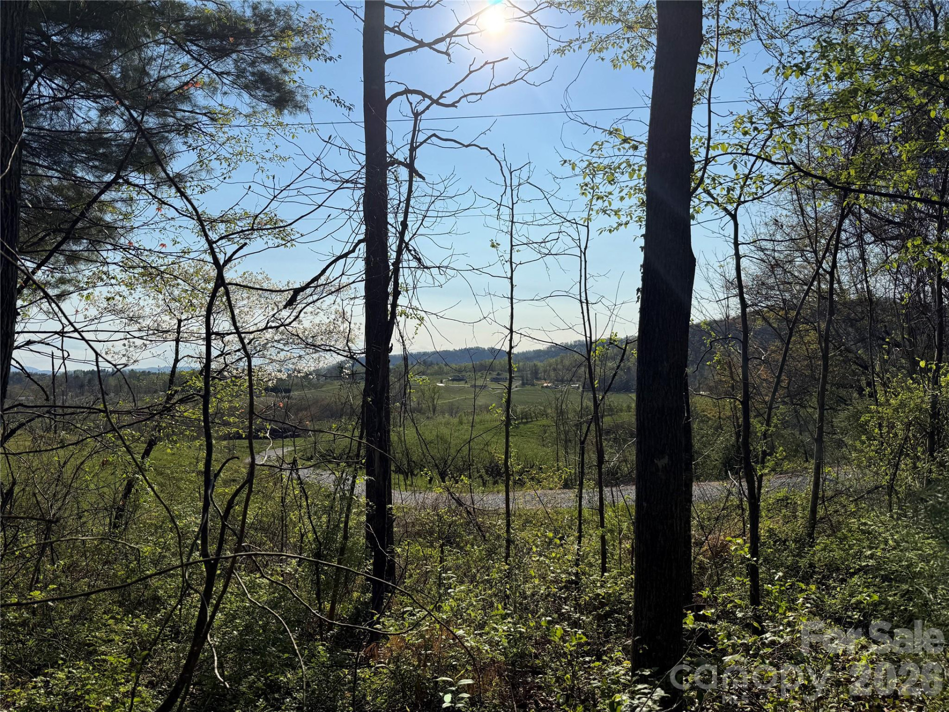 000 Woodlyn Etch Drive - Photo 9