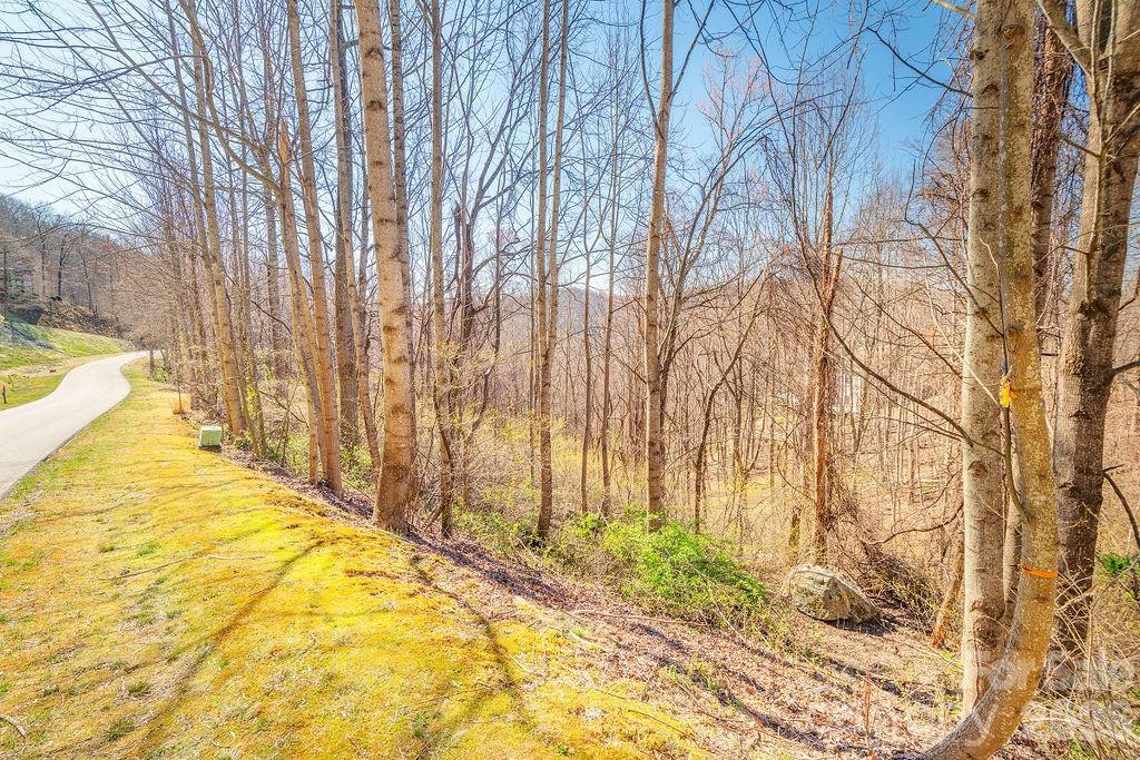 461 Somersby Parkway - Photo 3