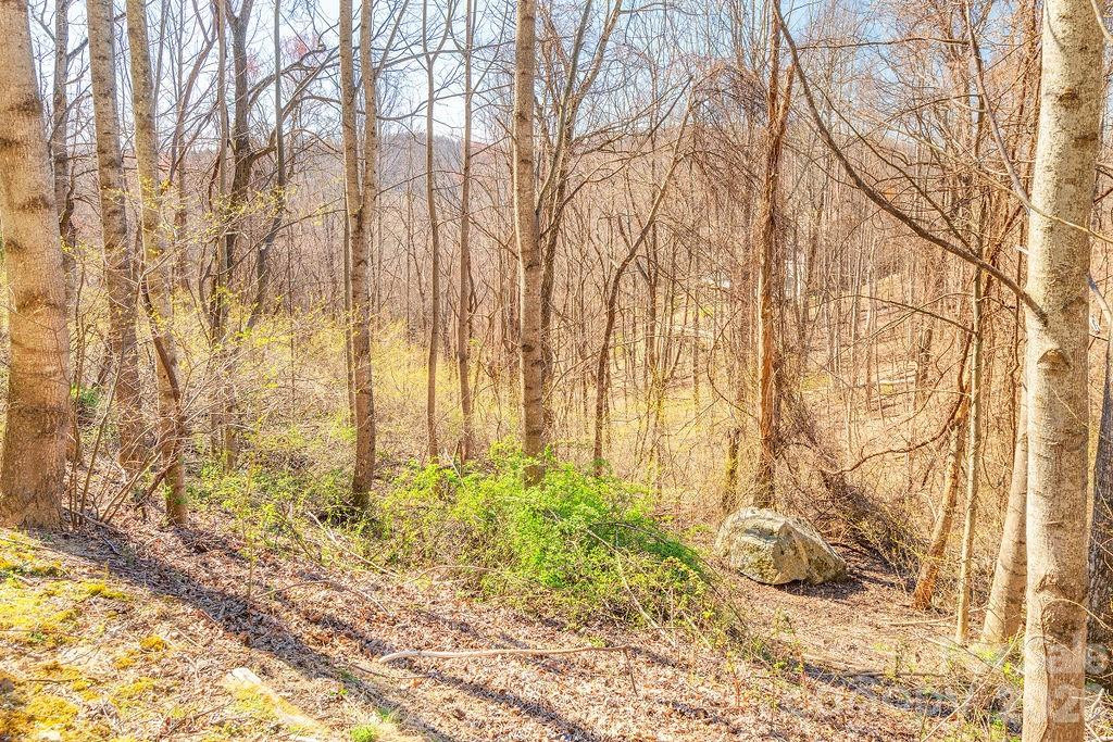 461 Somersby Parkway - Photo 4