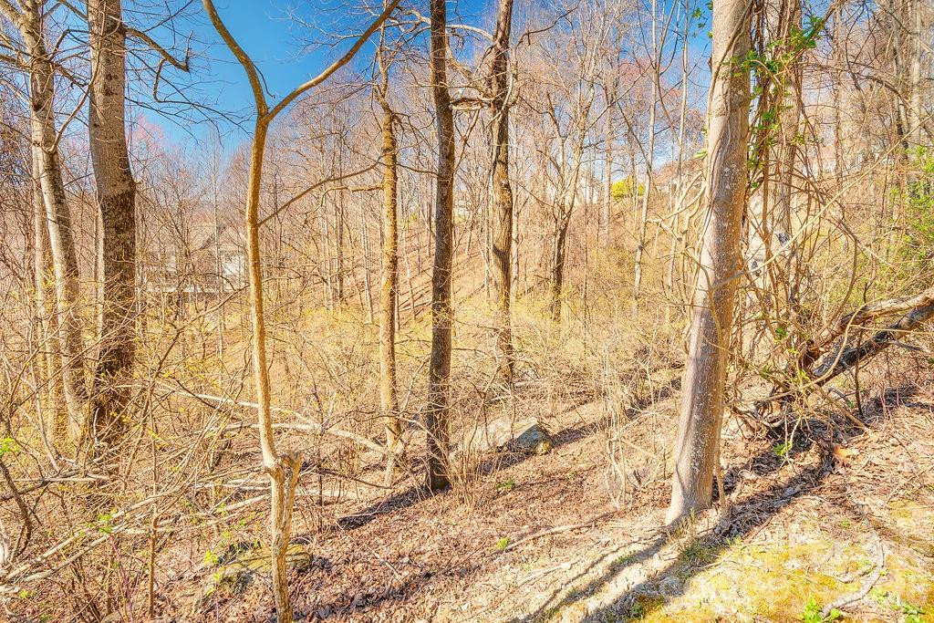 461 Somersby Parkway - Photo 5