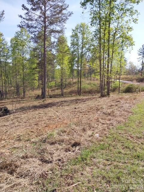 2158 Jumping Run #31 - Photo 2