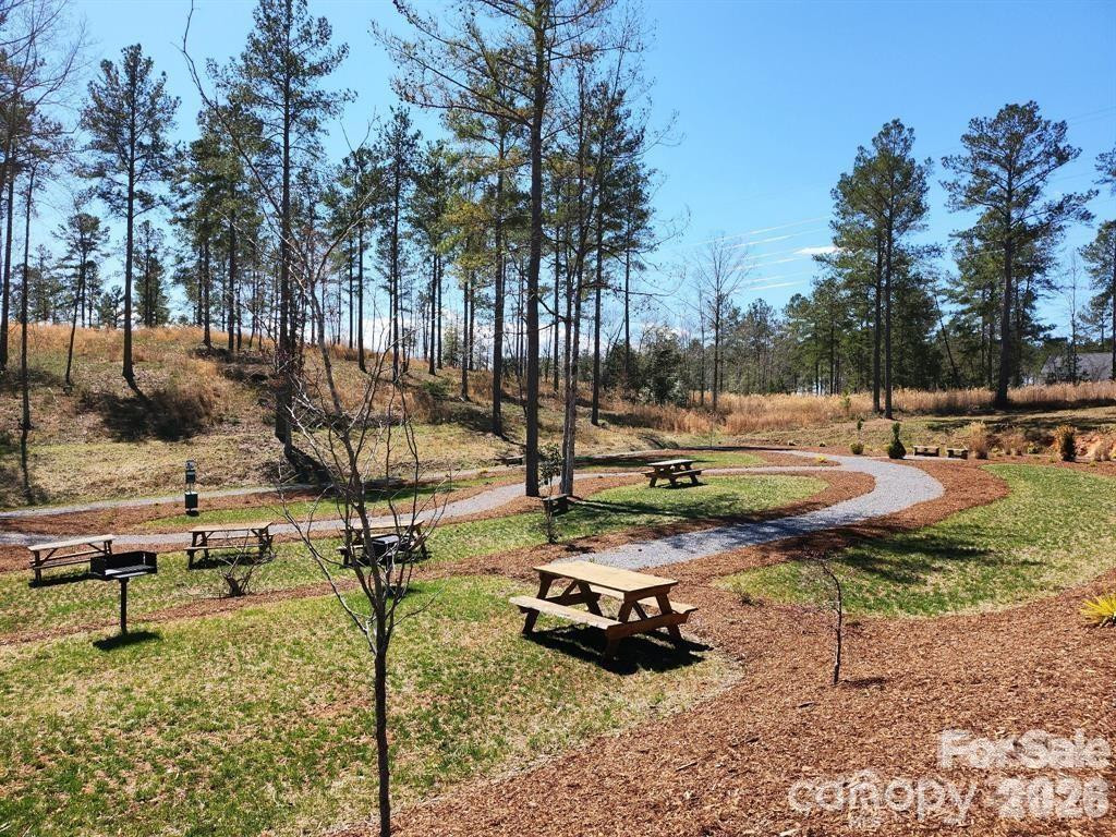 2158 Jumping Run #31 - Photo 18