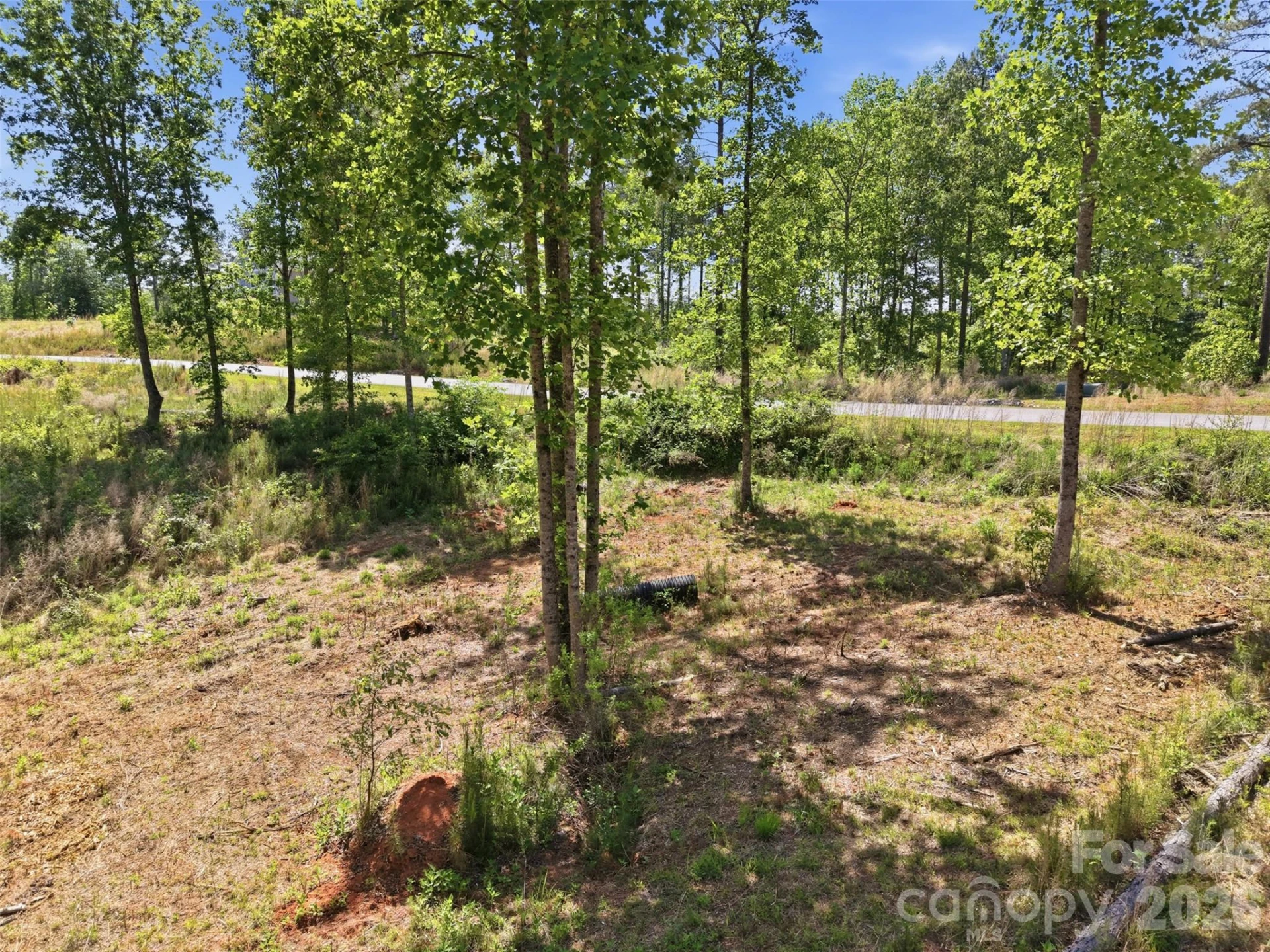 2158 Jumping Run #31 - Photo 25