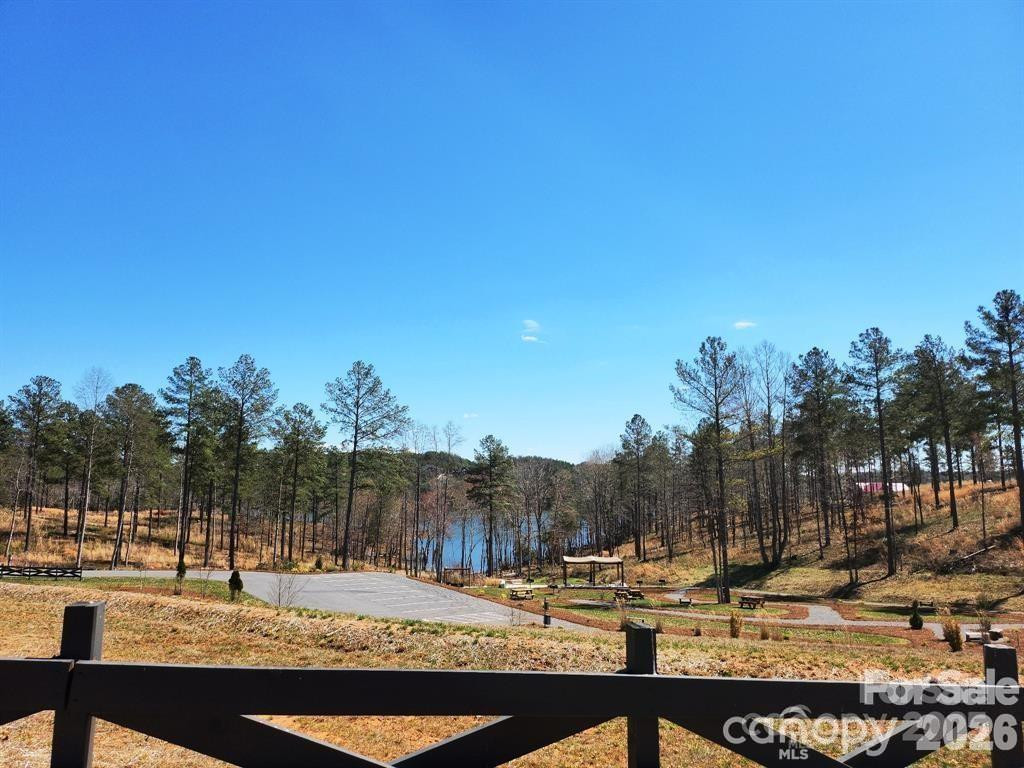 2158 Jumping Run #31 - Photo 19