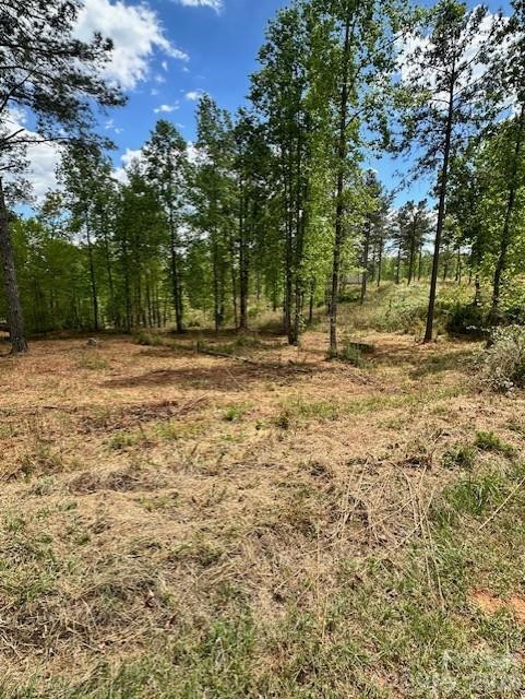 2158 Jumping Run #31 - Photo 3