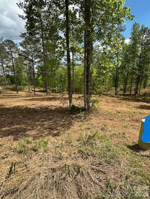 2158 Jumping Run #31 - Photo 4