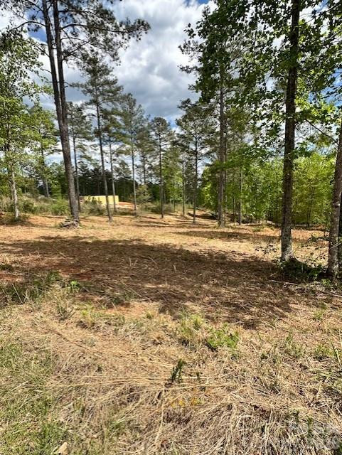 2158 Jumping Run #31 - Photo 5