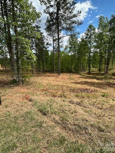 2158 Jumping Run #31 - Photo 6