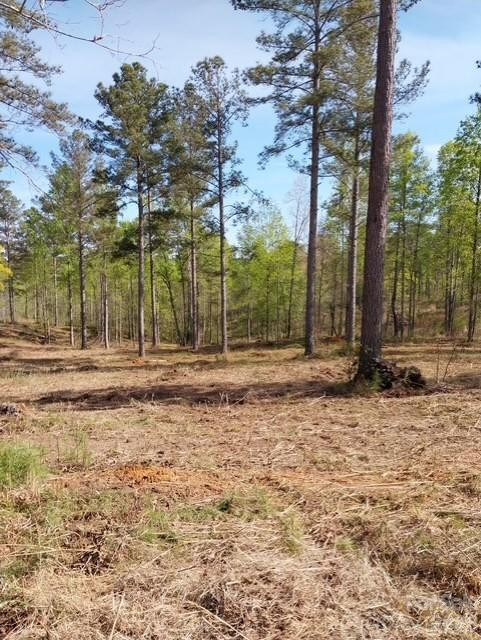 2158 Jumping Run #31 - Photo 7