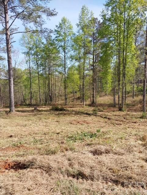 2158 Jumping Run #31 - Photo 8