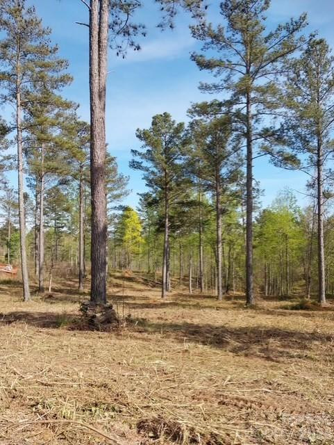 2158 Jumping Run #31 - Photo 9