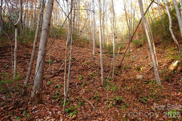 TBD Rector Branch Road, Marshall, NC, 28743