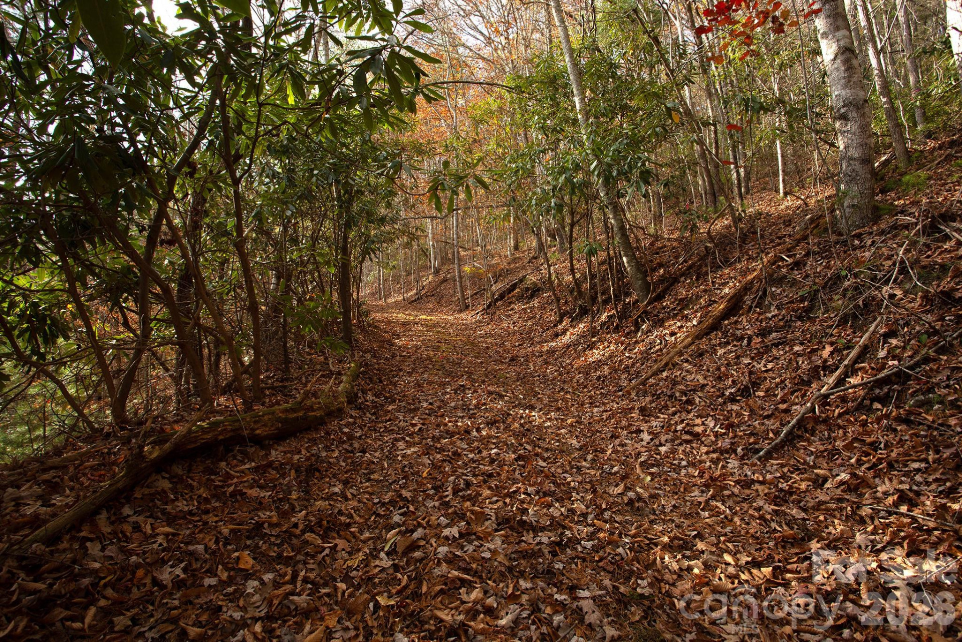 TBD Rector Branch Road #4 - Photo 3