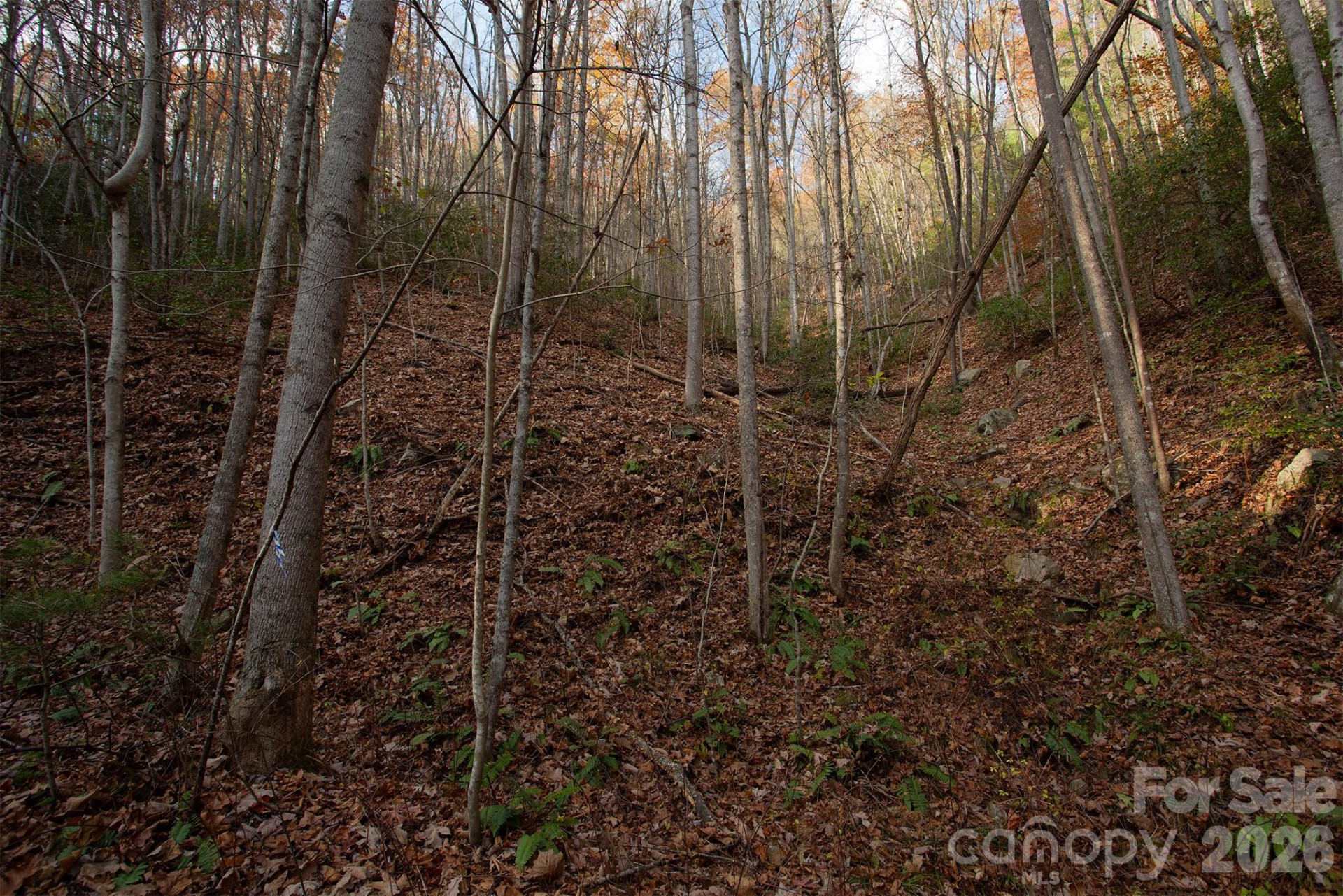 TBD Rector Branch Road #4 - Photo 4