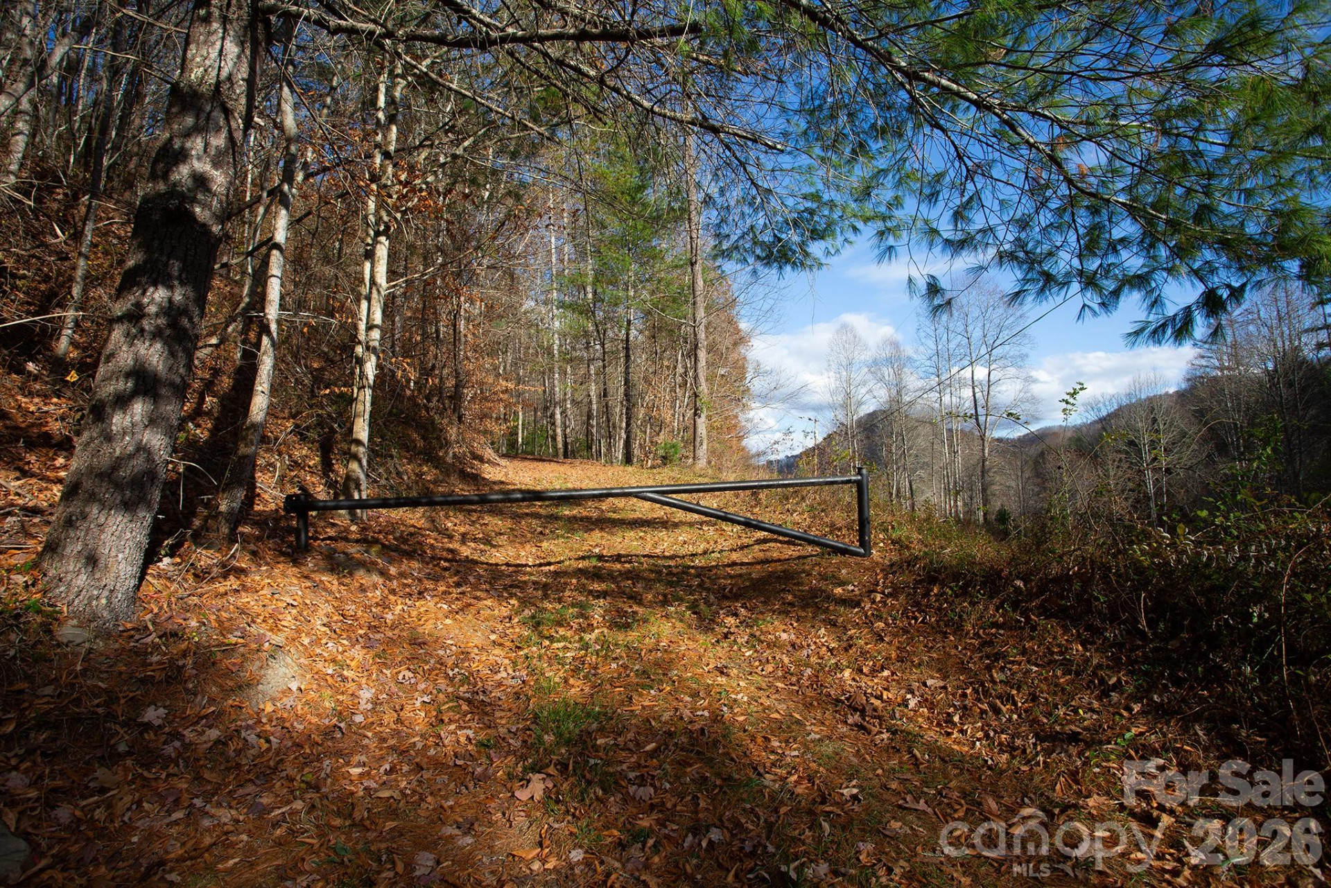 TBD Rector Branch Road #4 - Photo 5