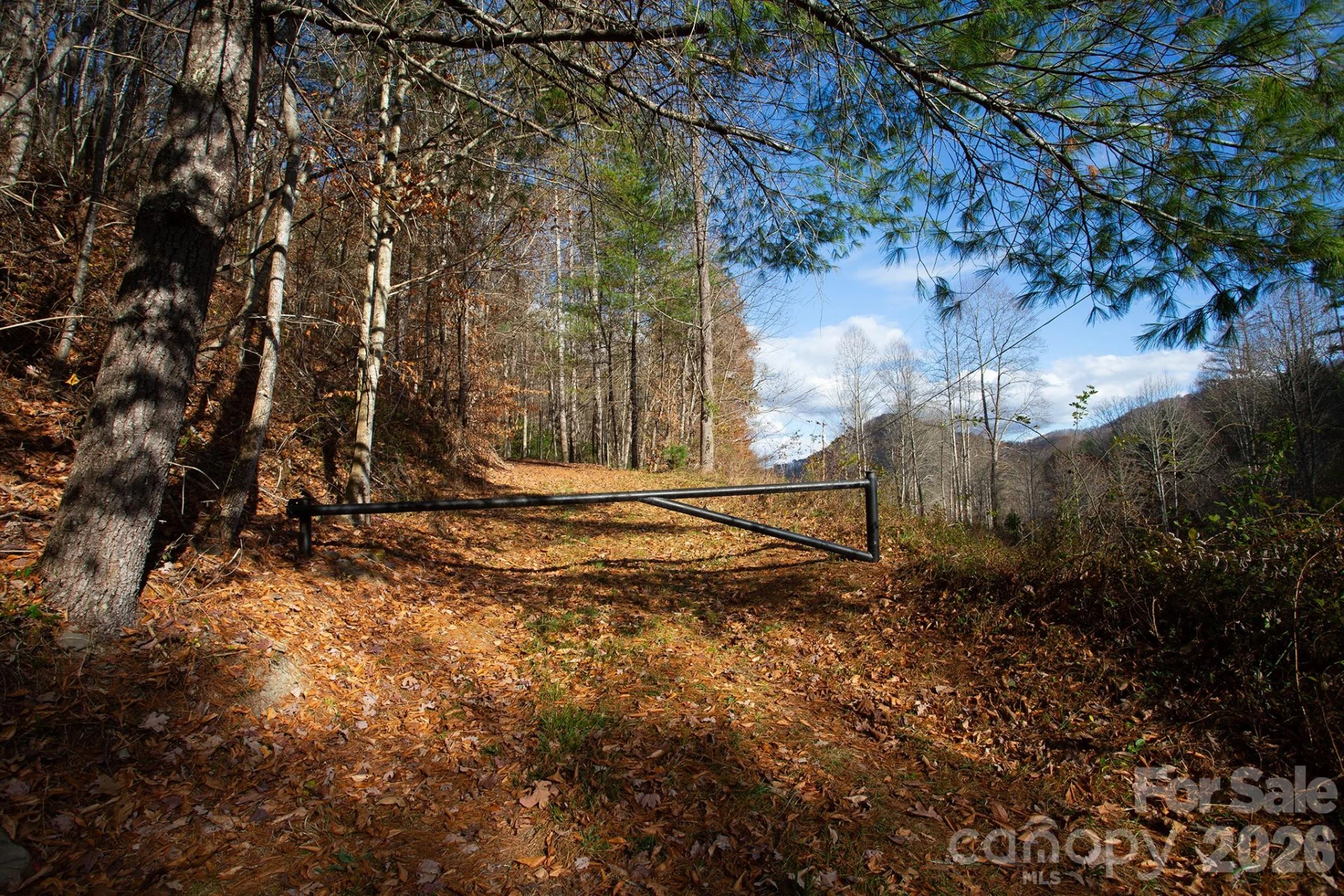 TBD Rector Branch Road #4 - Photo 5