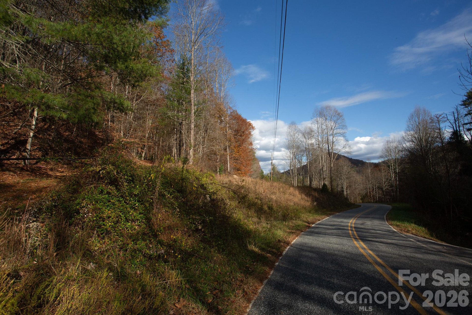 TBD Rector Branch Road #4 - Photo 6