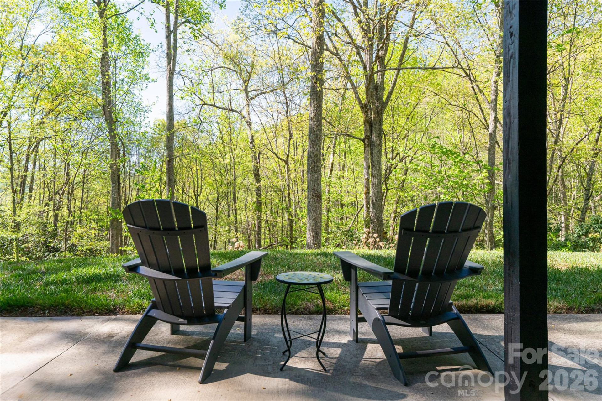 36 Snowshoe Drive - Photo 39