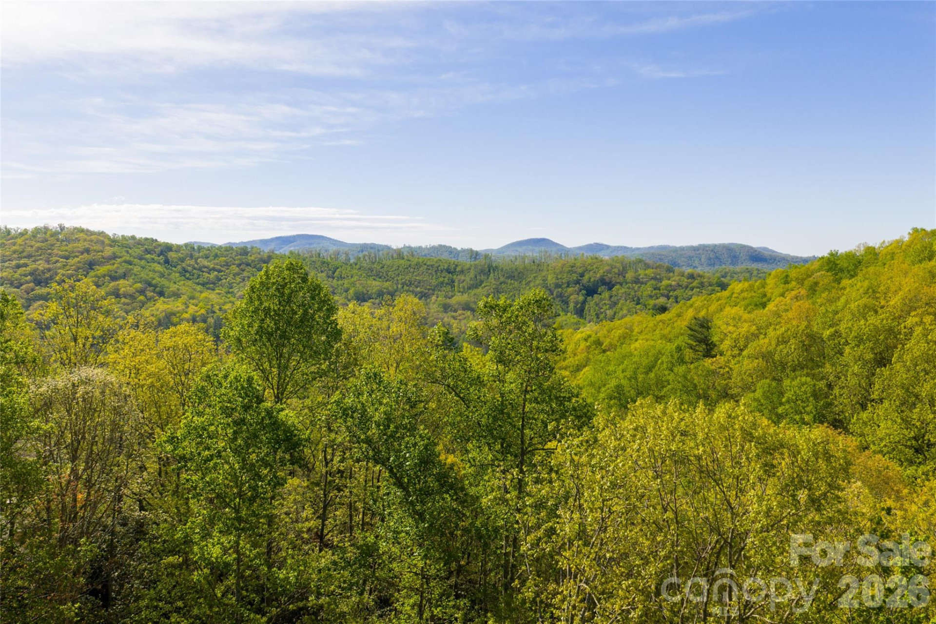 36 Snowshoe Drive - Photo 5