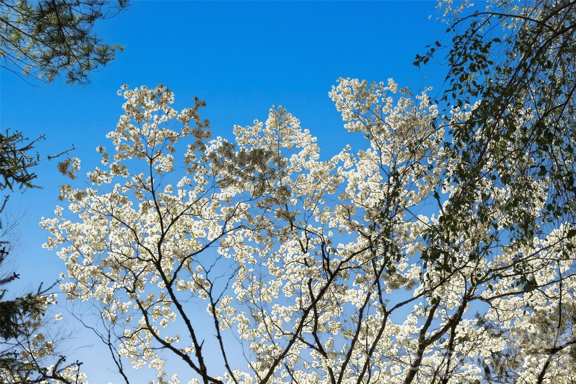 1959 Jackson Town Road - Photo 27